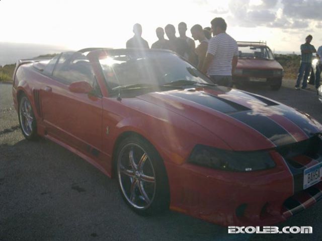 limited-mustang-cobra-56231-hamet-gk limited-mustang-cobra-56231-hamet-gk
