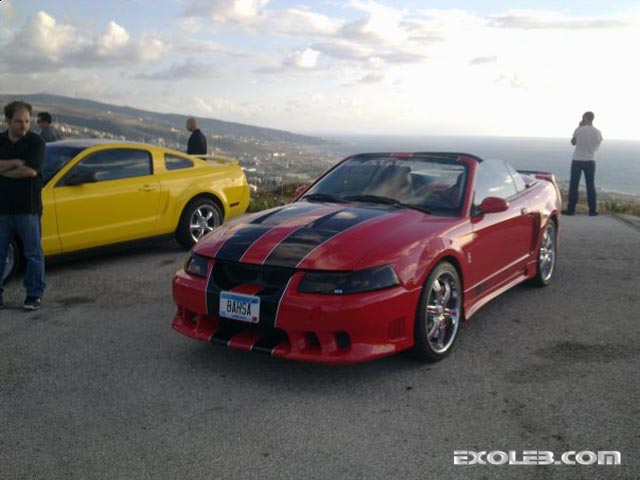 limited-mustang-cobra-56231-hamet-gk2 limited-mustang-cobra-56231-hamet-gk2